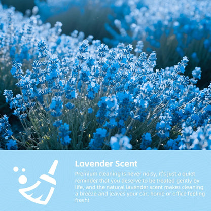 Lavender Fresh Car Cleaning Gel™